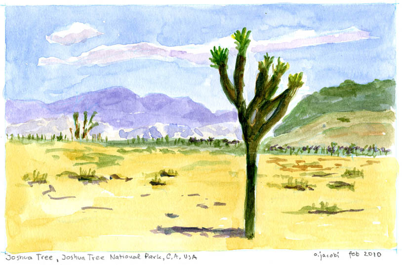 Joshua Tree